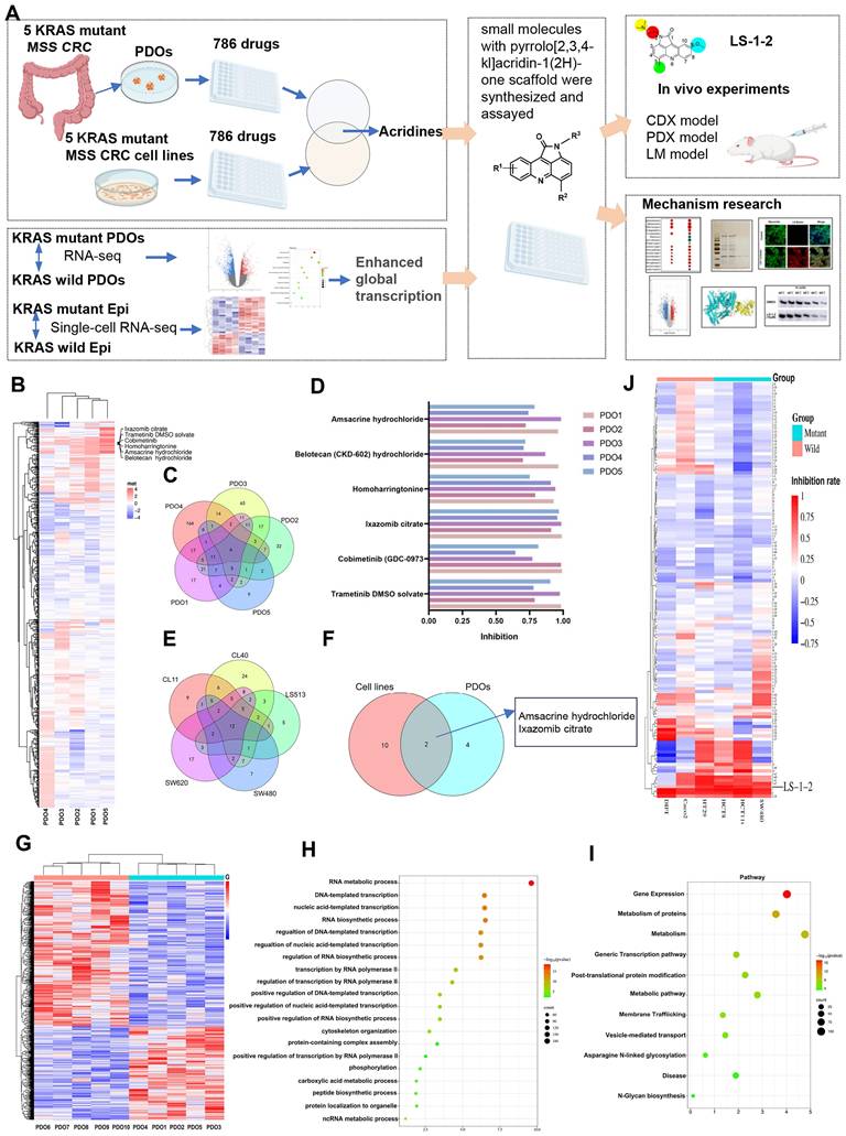 Int J Biol Sci Image