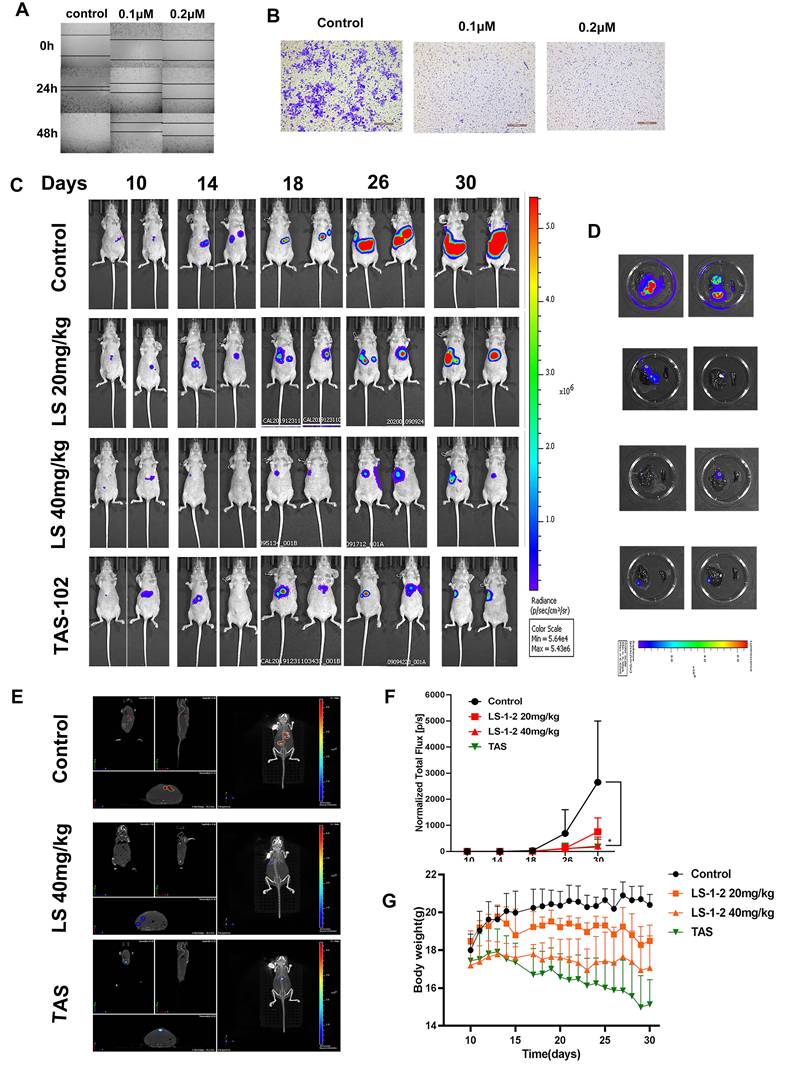 Int J Biol Sci Image