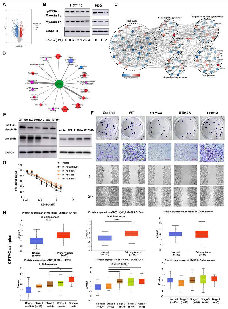 Int J Biol Sci Image