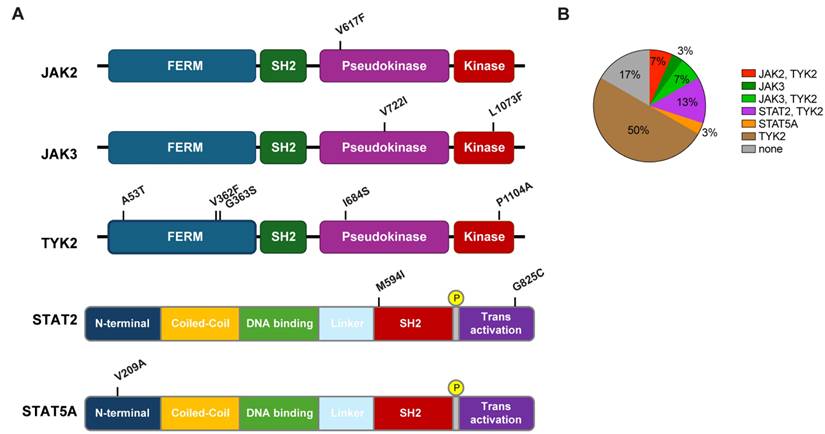 Int J Biol Sci Image