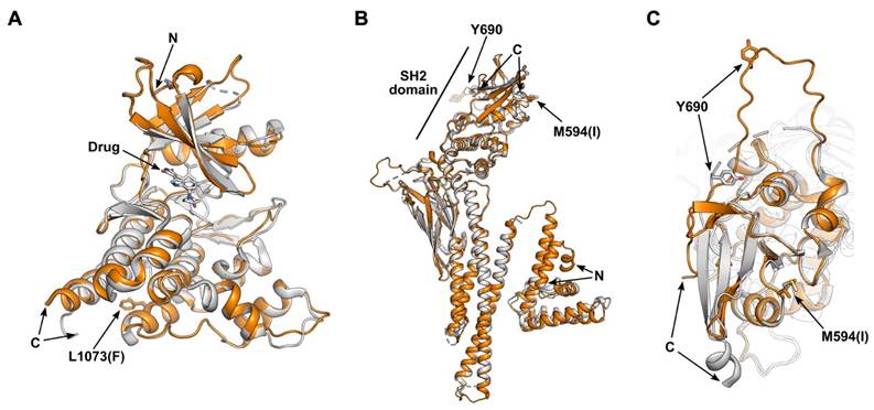 Int J Biol Sci Image