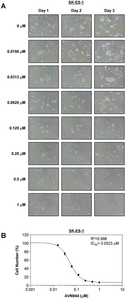 Int J Biol Sci Image