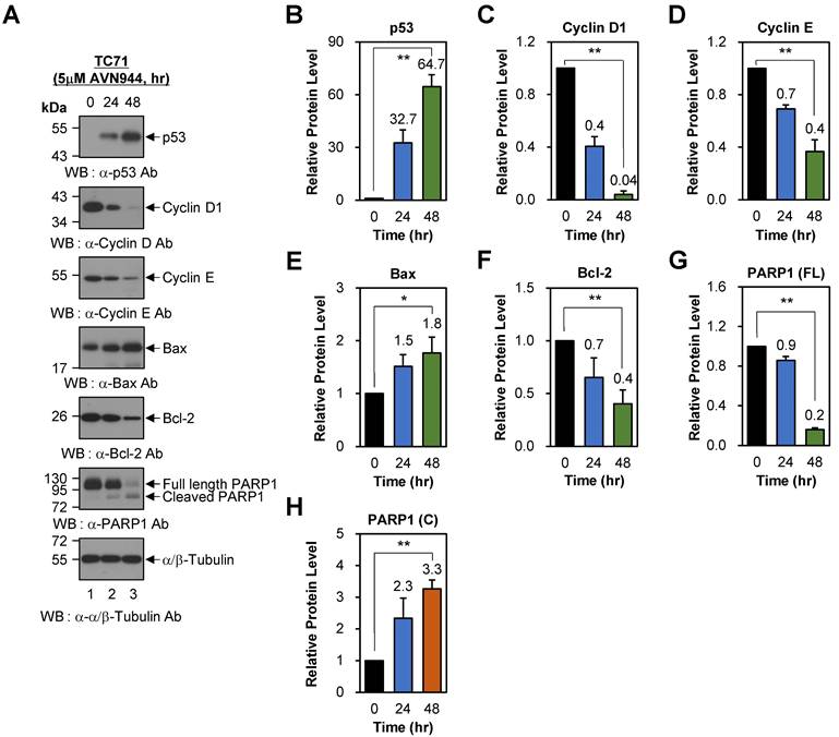 Int J Biol Sci Image
