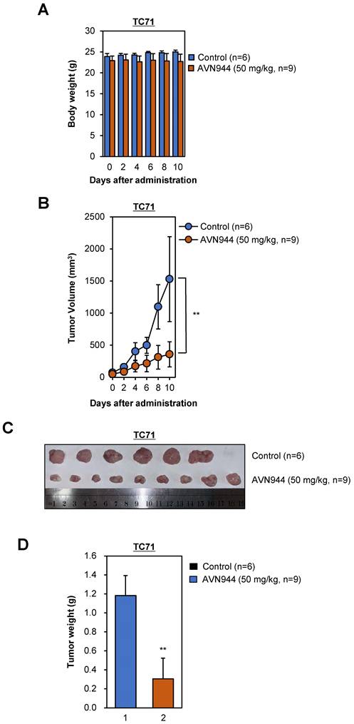 Int J Biol Sci Image