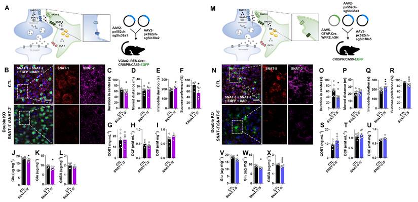 Int J Biol Sci Image
