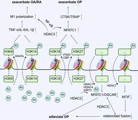 Int J Biol Sci Image