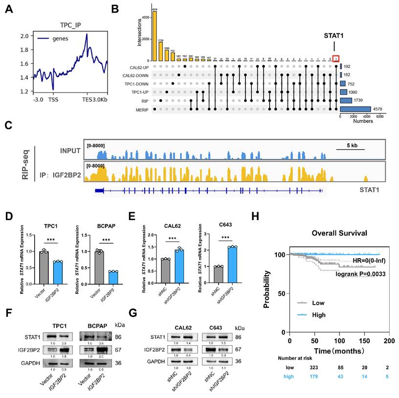 Int J Biol Sci Image