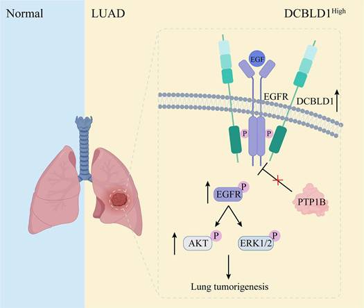Int J Biol Sci Image