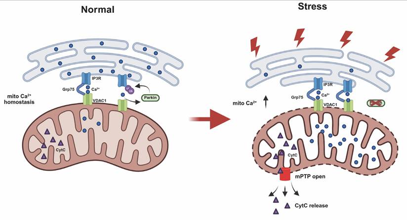 Int J Biol Sci Image