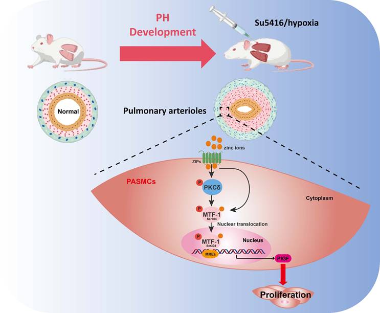 Int J Biol Sci Image