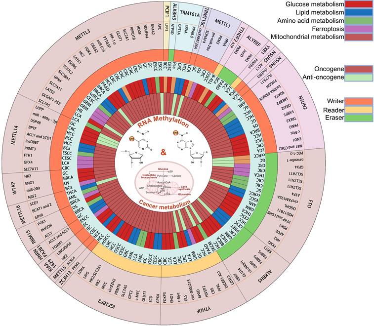 Int J Biol Sci Image