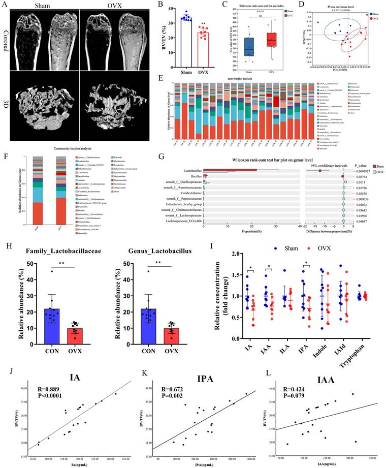 Int J Biol Sci Image