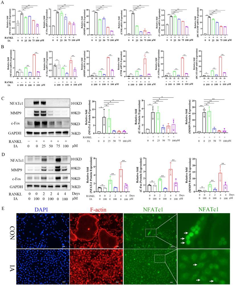 Int J Biol Sci Image