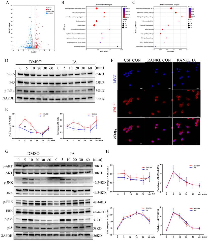 Int J Biol Sci Image