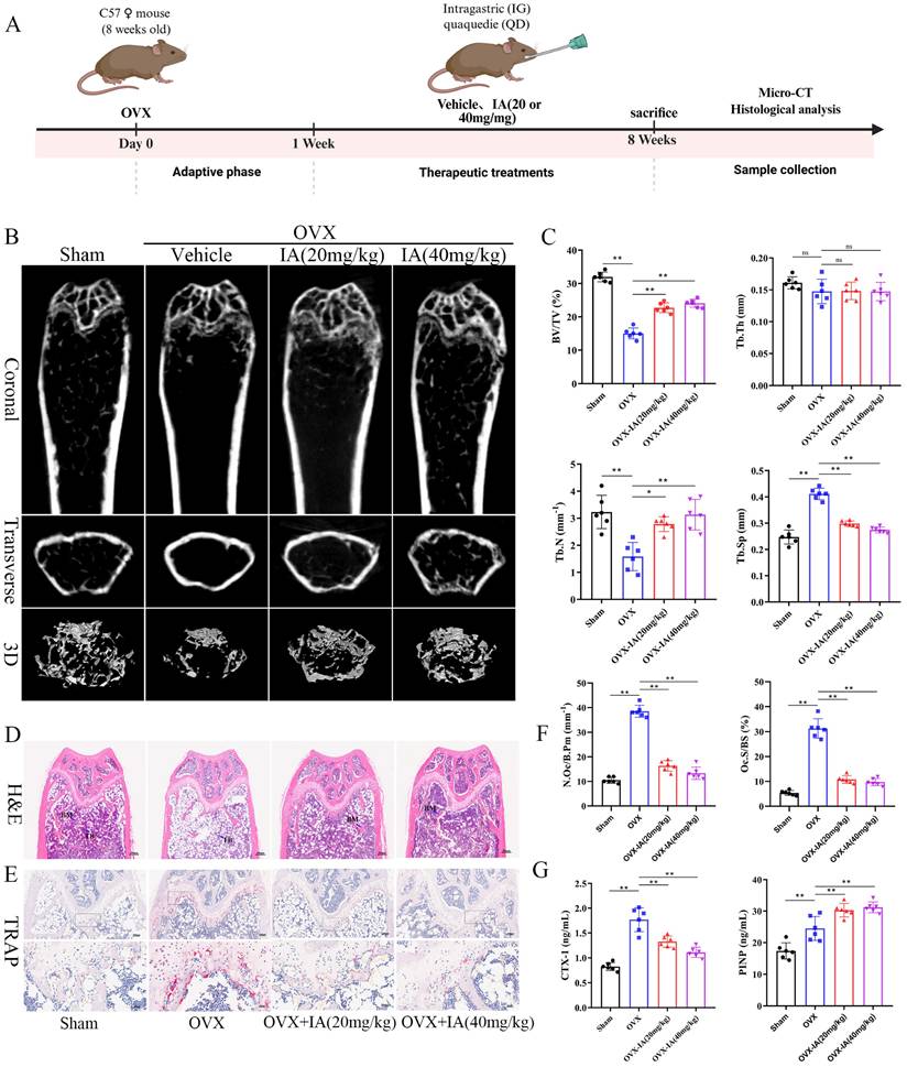 Int J Biol Sci Image