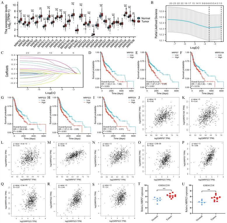 Int J Biol Sci Image
