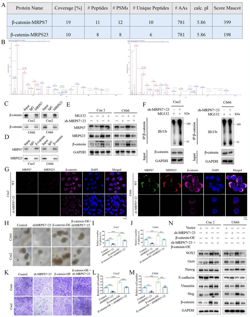 Int J Biol Sci Image