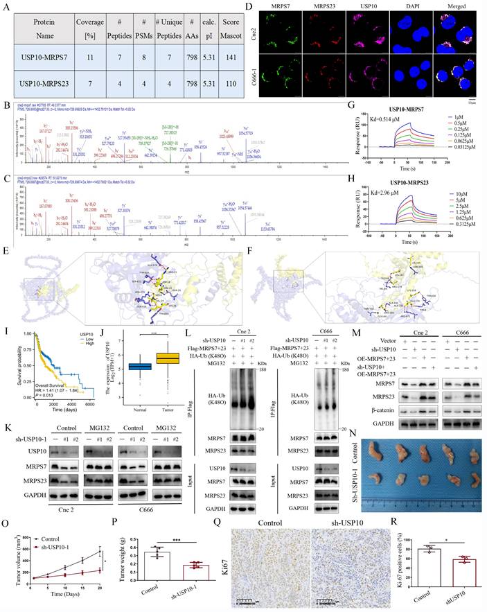 Int J Biol Sci Image