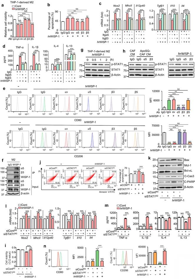 Int J Biol Sci Image