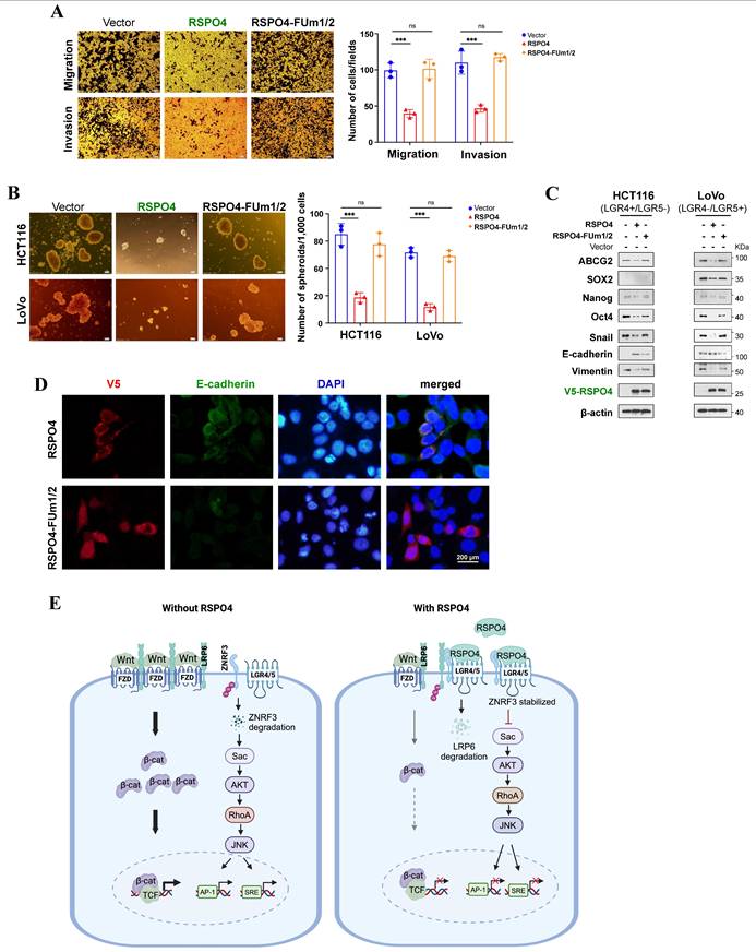 Int J Biol Sci Image