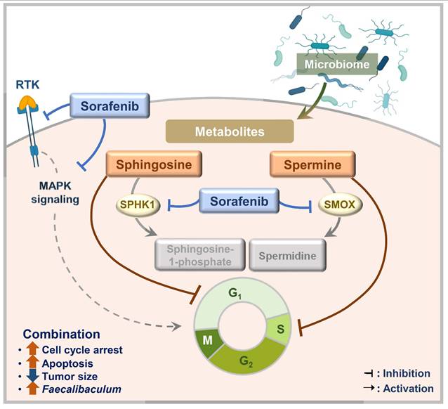 Int J Biol Sci Image