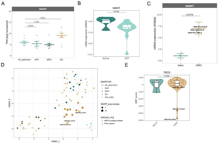 Int J Biol Sci Image