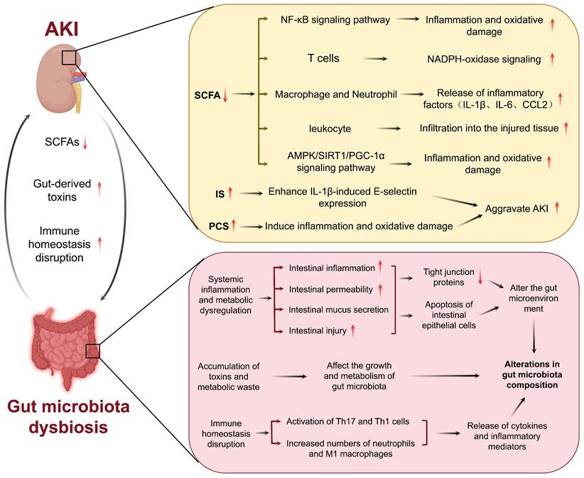 Int J Biol Sci Image
