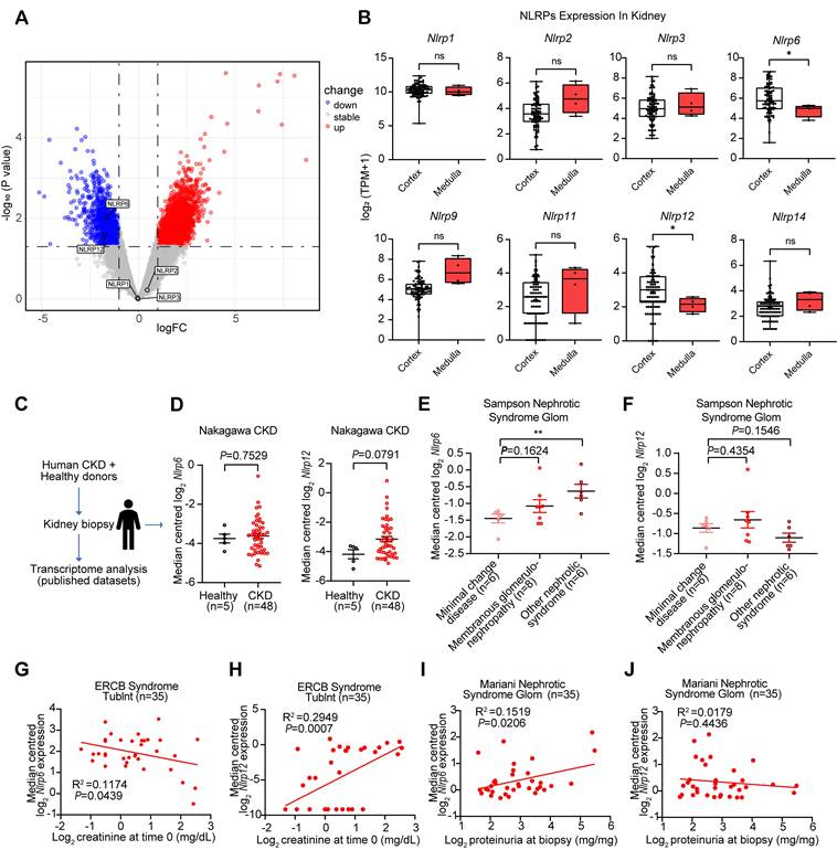 Int J Biol Sci Image