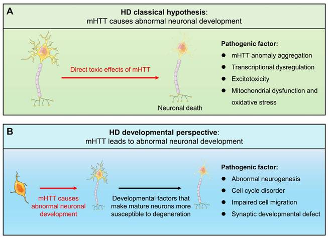 Int J Biol Sci Image
