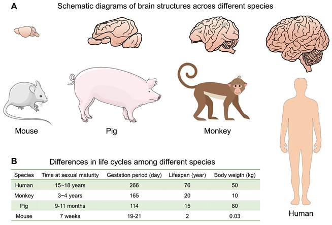 Int J Biol Sci Image