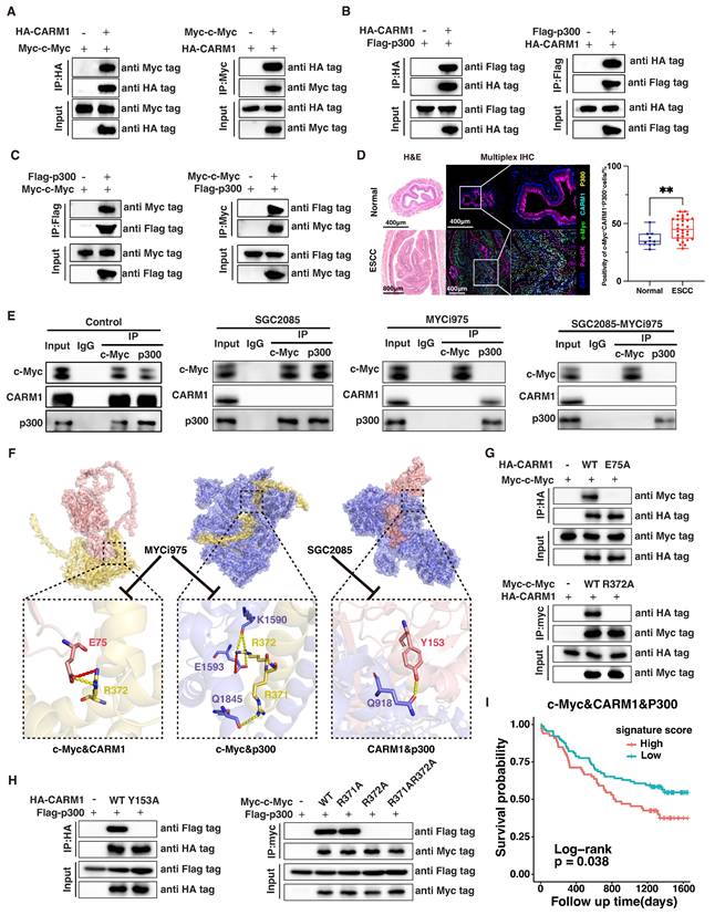 Int J Biol Sci Image