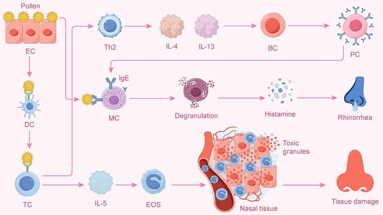 Int J Biol Sci Image