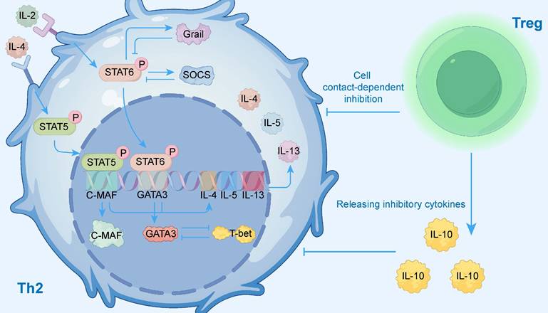 Int J Biol Sci Image