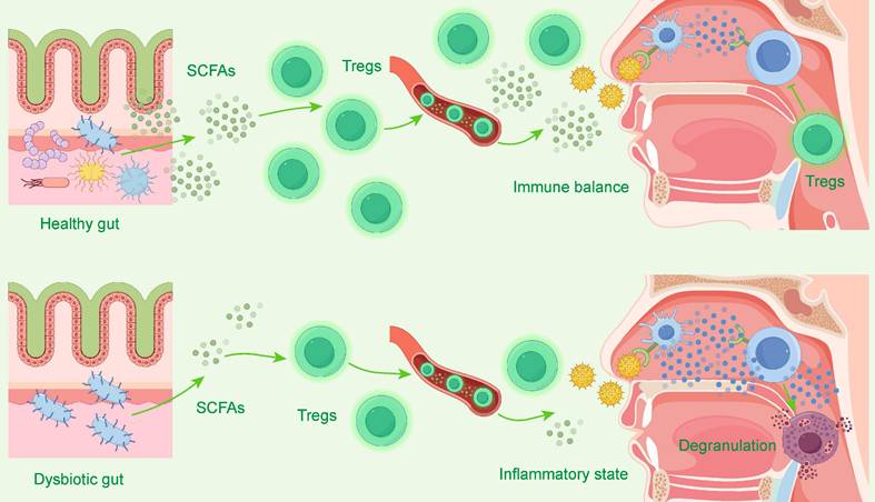 Int J Biol Sci Image