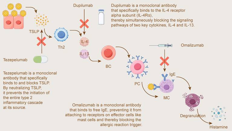 Int J Biol Sci Image