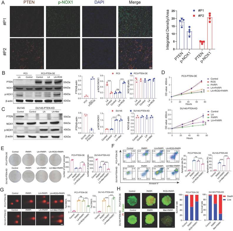 Int J Biol Sci Image