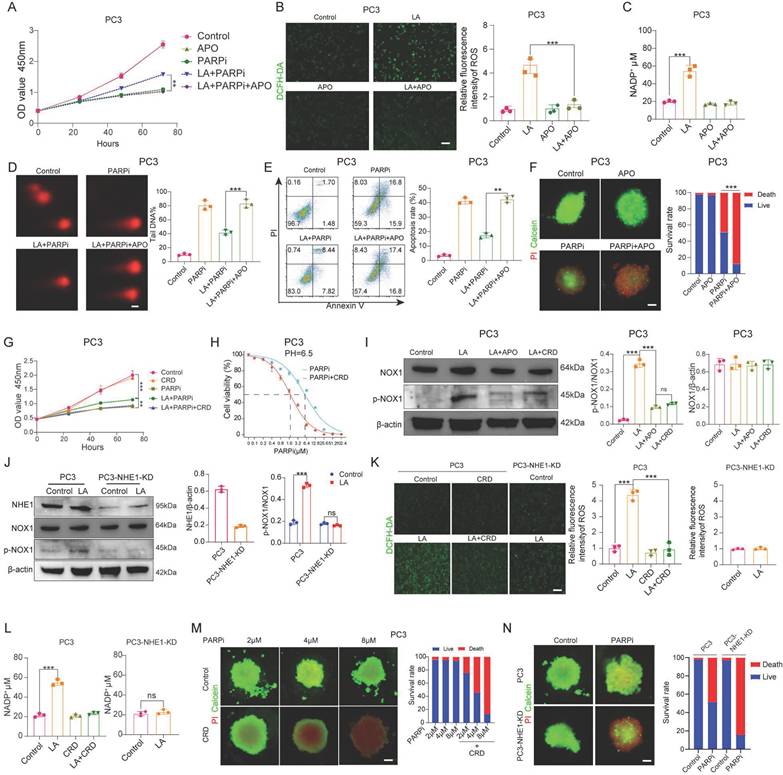 Int J Biol Sci Image