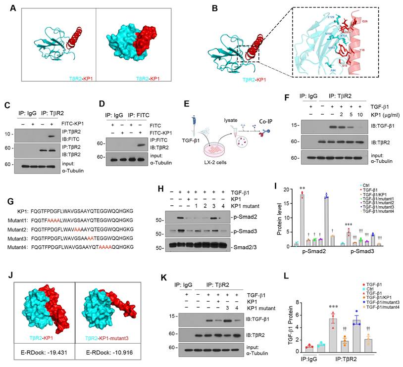 Int J Biol Sci Image