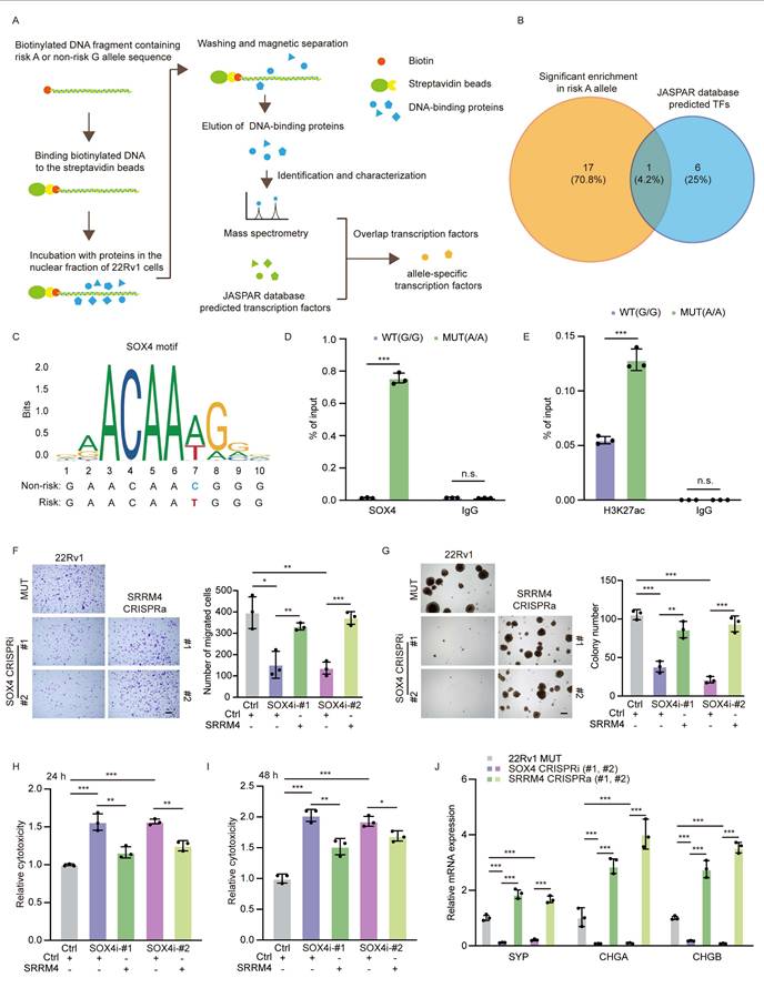 Int J Biol Sci Image