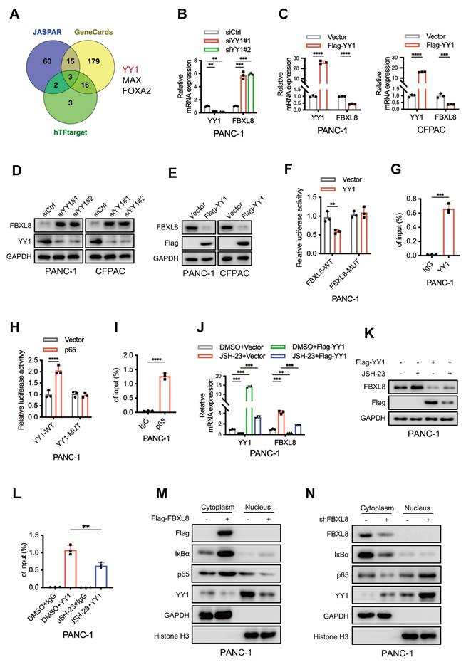 Int J Biol Sci Image