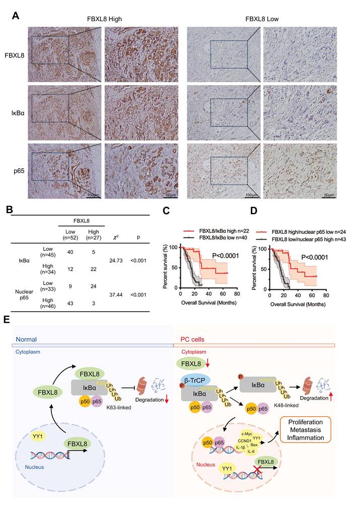 Int J Biol Sci Image