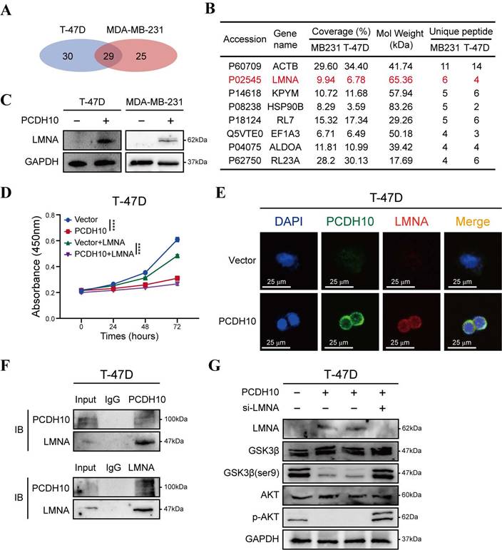 Int J Biol Sci Image