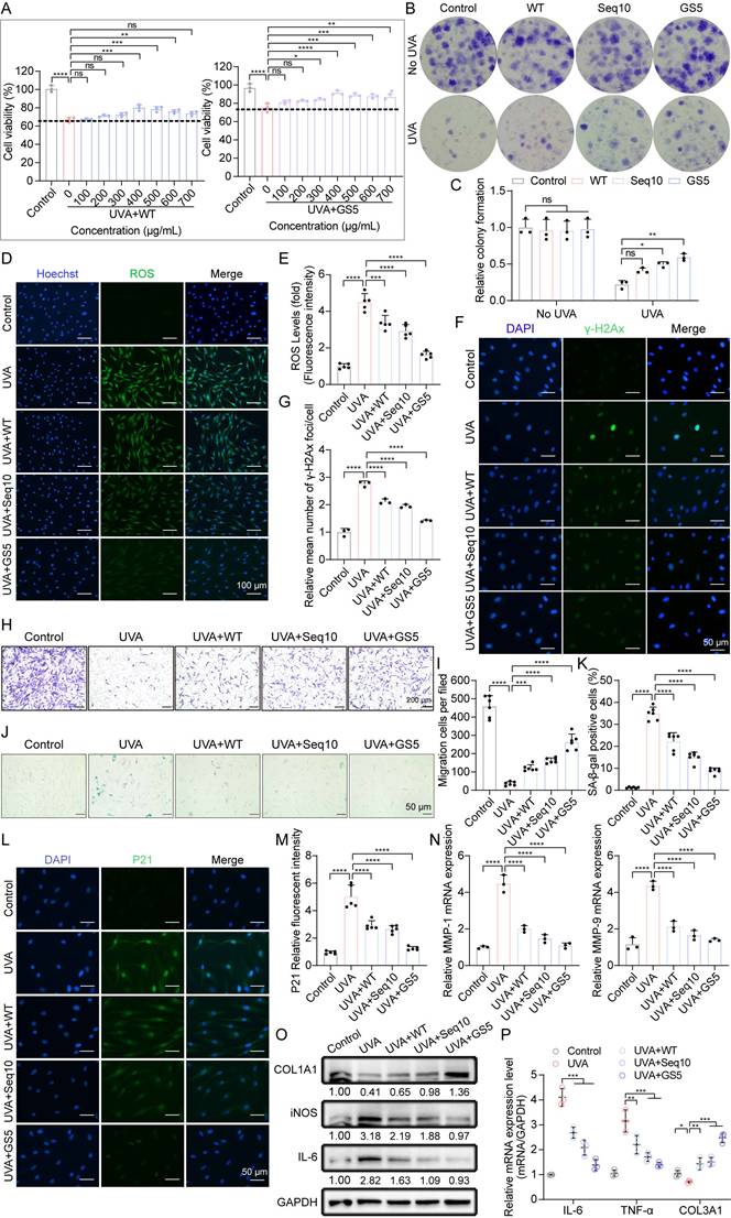 Int J Biol Sci Image