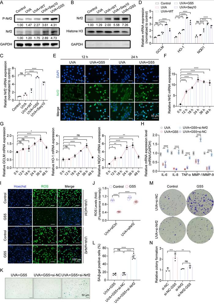 Int J Biol Sci Image