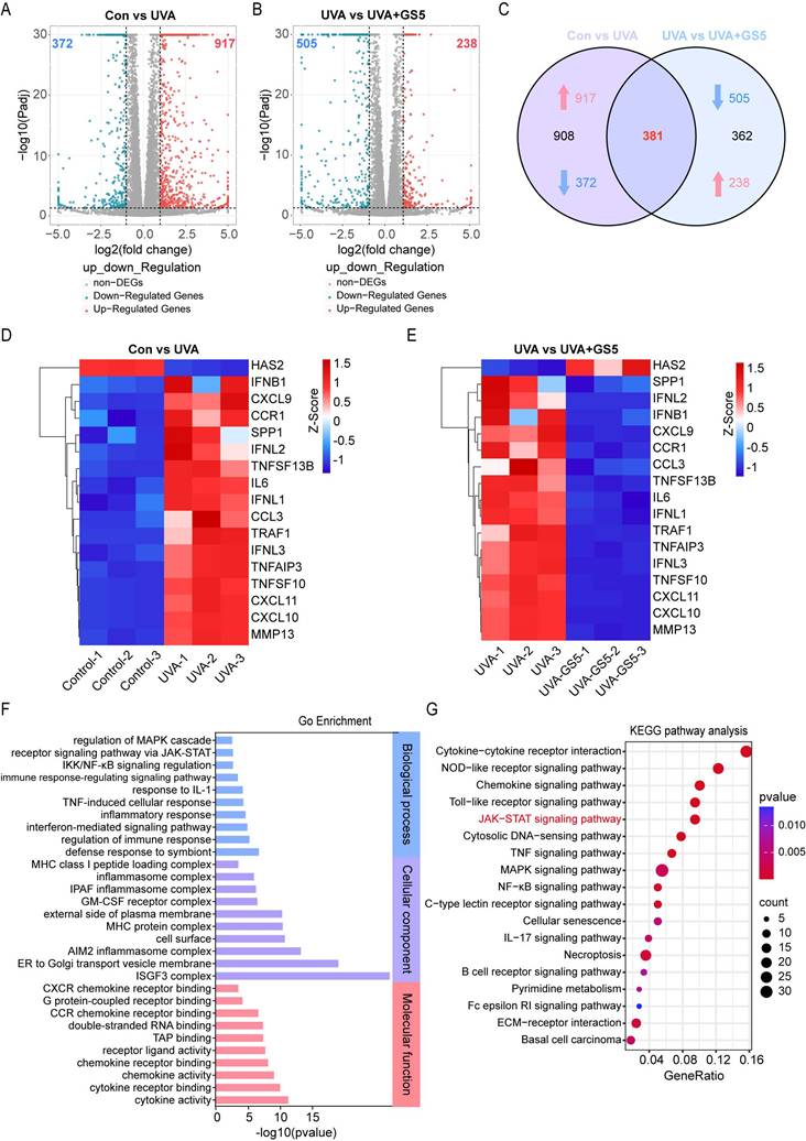 Int J Biol Sci Image