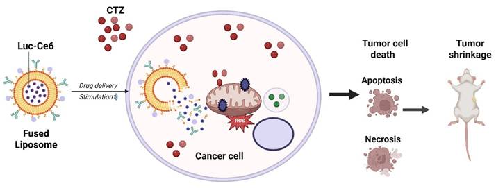 Int J Biol Sci Image