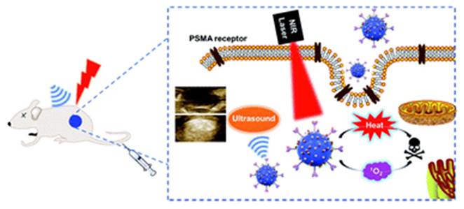 Int J Biol Sci Image