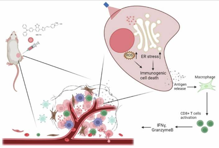 Int J Biol Sci Image