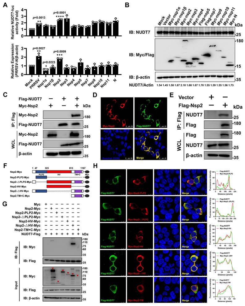 Int J Biol Sci Image