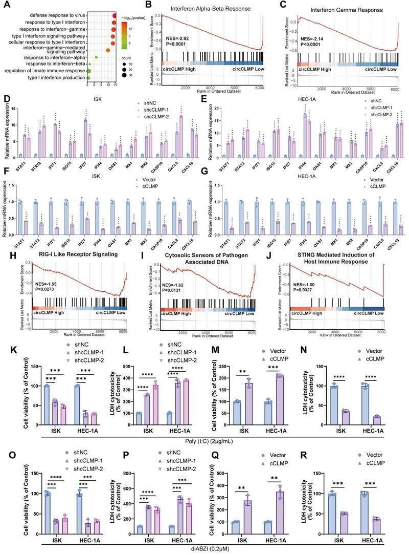 Int J Biol Sci Image